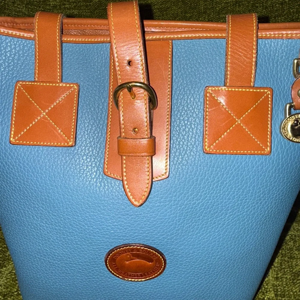 Dooney and Bourke R172 North South Tote in Mediterranean Blue - Picture 8 of 14